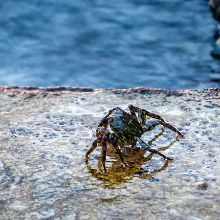 Maria * Starigrad Paklenica